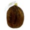 Ornaments To Remember 4.75 In Coconut Tree Ornament , Fruit Vegetable Palm Tropical